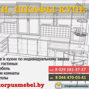 Кухни,  шкафы-купе под заказ недорого! Сборка бесплатно!