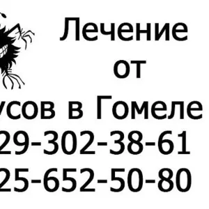 Лечение от вирусов в Гомеле.