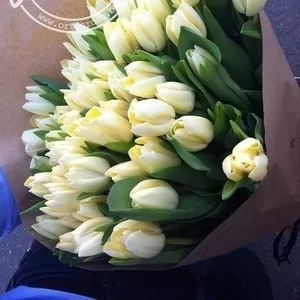 Цветы,  розы,  тюльпаны с доставкой по низким ценам Минска