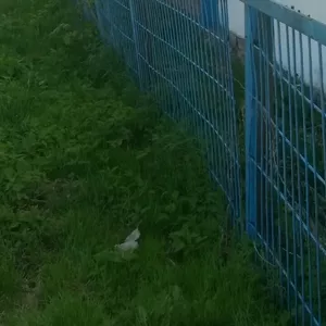 забор