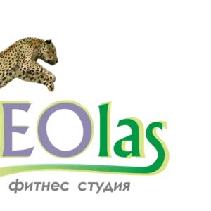 Студия танца и фитнеса LEOlas