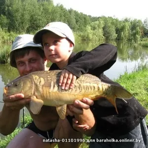  Платная рыбалка на усадьбе Мечта.