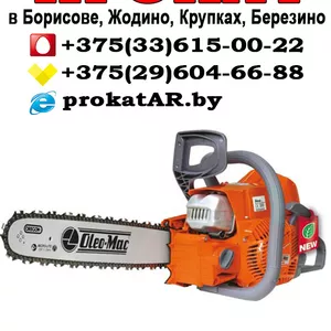 Прокат аренда бензопилы в Борисове,  Жодино,  Крупках,  Березино,  Смолеви