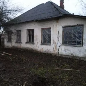  Дом и участок в Орше 