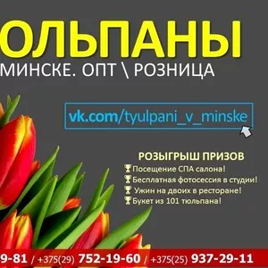 Цветы к 8 марту оптом и в розницу. Предзаказ