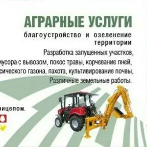 Аграрные Услуги: работы по благоустройству территории