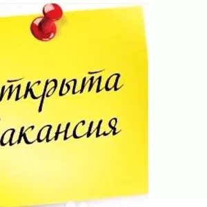 ИП приглашает на работу помощника руководителя(женщина)