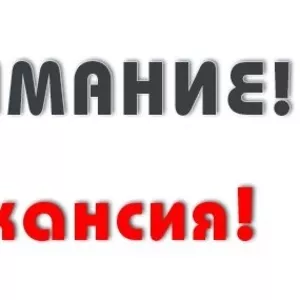 Работа удаленная. Зарплата от 300 у. е.