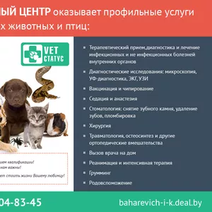 Ветеринарная помощь. Профессиональные специалисты.