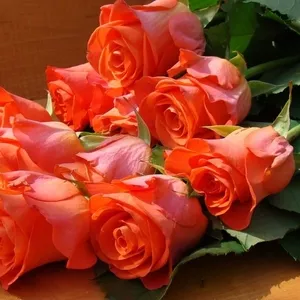 Красивые розы по доступной цене