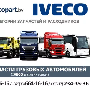 Автозапчасти грузовых автомобилей IVECO и др. авто.