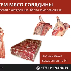 Реализуем мясо говядины.
