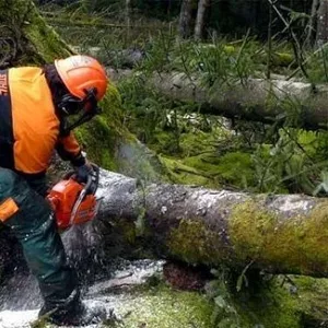 Наемные рабочие. Услуги в Рогачеве.