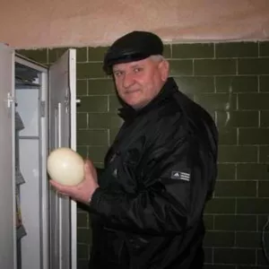 Продам б/у инкубаторы на 63 и 72 страусиных яйца