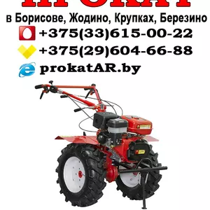 Аренда и Прокат мотоблока Борисов,  Жодино,  Крупки,  Березино,  Смолевичи