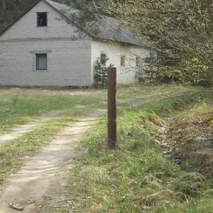 Дом в лесу на берегу Немана в экологическом заказнике. 