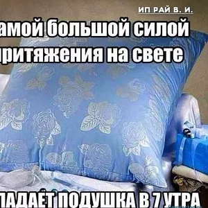 Чистка подушек Сморгонь