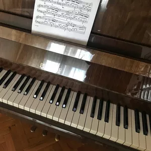 Фортепиано PETROF с концертной клавиатурой