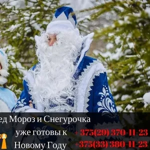 Дед Мороз и Снегурочка на дому(стандарт)