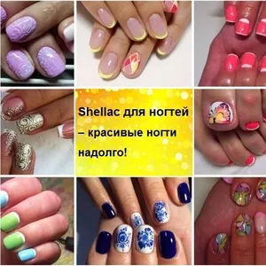 Маникюр shellac в парикмахерской,  район Октябрьский недорого