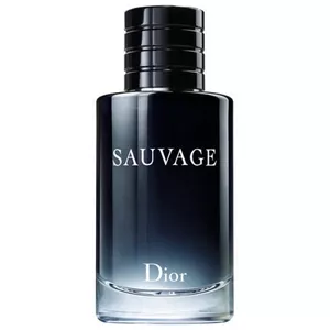 Мужской парфюм DIOR SAUVAGE