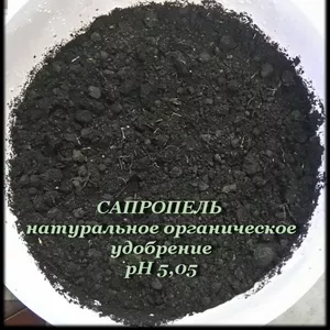 Сапропель 100% натуральное органическое удобрение