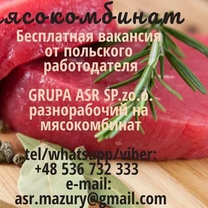 Разнорабочий на мясокомбинат в Польшу. Бесплатная вакансия