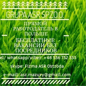 Прямой работодатель в Польше Grupa ASR sp.zo.o. Бесплатные вакансии.