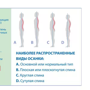 корректор осанки белпа-мед