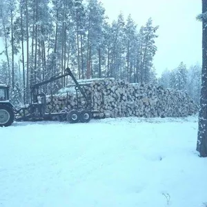 Транспортировка леса лесовозом с гидроманипулятором