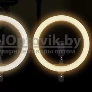 Кольцевая светодиодная лампа подсветка Nova M30 LED 180 d30 см  ШТАТИВ