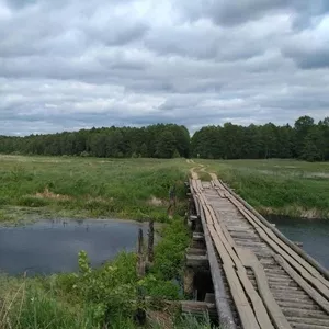 Продается участок с домом в Борисовском райлне