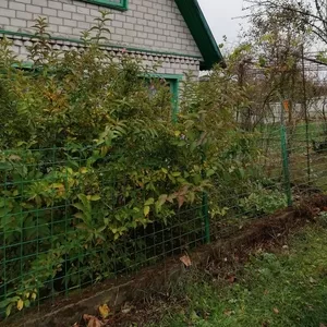 продам дачу,  8 км от Гродно