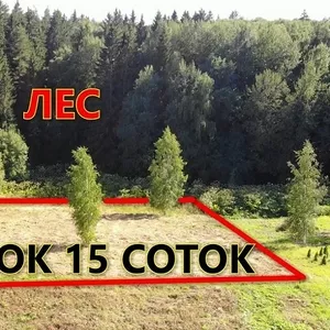 Продам участок 15 соток в д. Медухово, 32 км от Минска. Логойский район. 